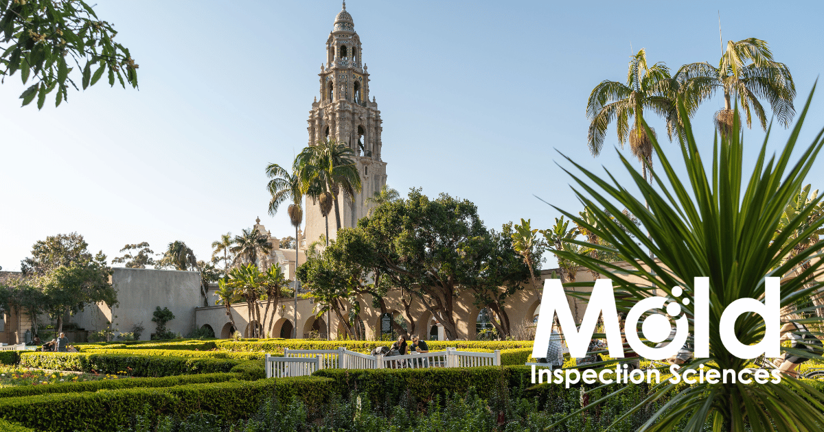 Mold Inspection Sciences San Diego
