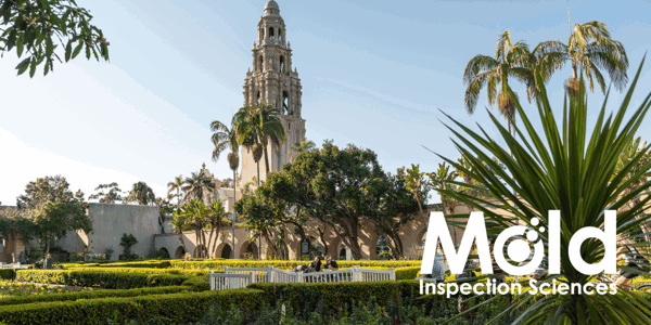 Mold Inspection Sciences San Diego