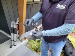 A person wearing a polo shirt and gloves conducts an inspection, holding a plastic sample bag outdoors near a house with a ladder and plants in the background.