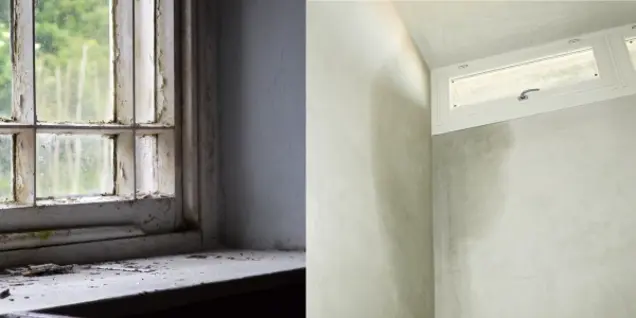 Split image showing two windows: on the left, an old, dirty window with peeling paint and grime—potential signs for inspection or mold; on the right, a clean, modern window in a freshly painted, light-colored wall.