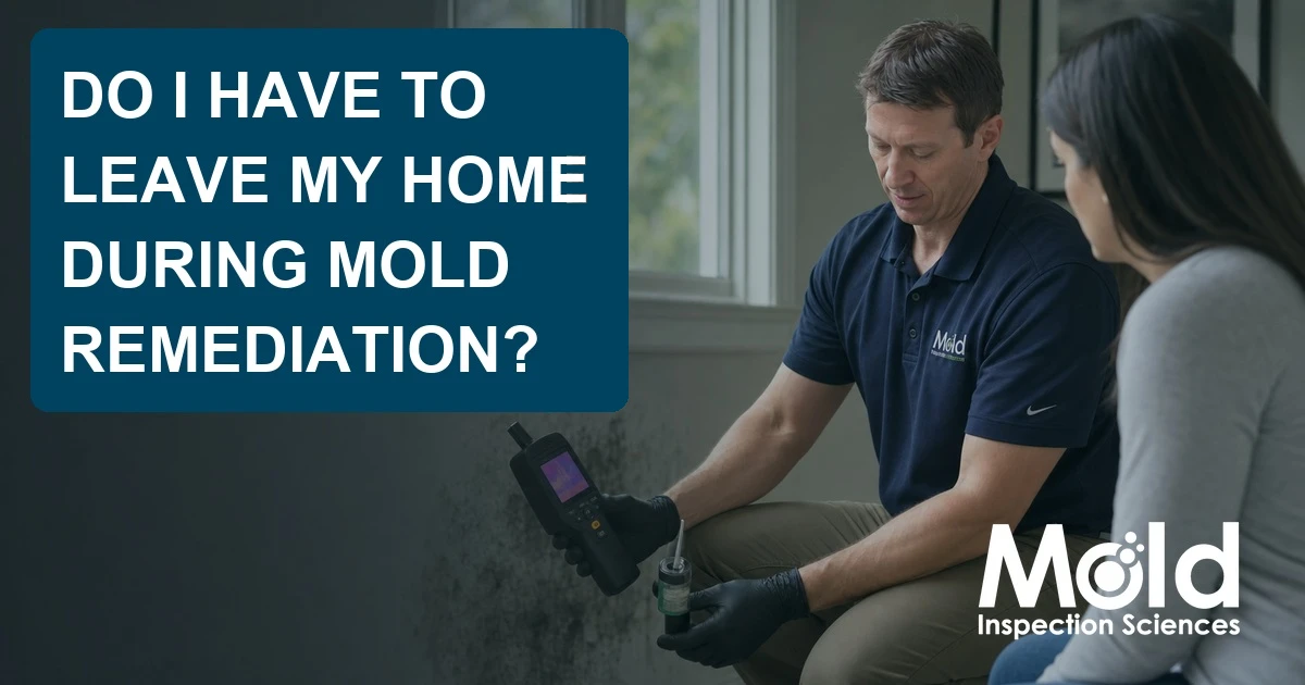 A mold inspector explains remediation to a woman while conducting an assessment for mold; a large text box reads, “Do I have to leave my home during mold remediation?” Mold is visible on the wall.