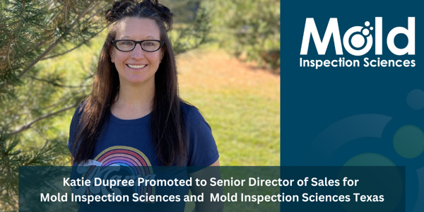 A smiling woman wearing glasses and a navy t-shirt with a rainbow design stands outdoors near a pine tree. A banner reads, Katie Dupree Promoted to Senior Director of Sales for Mold Inspection Sciences and Mold Inspection Sciences Texas, reflecting her keen eye for assessment.