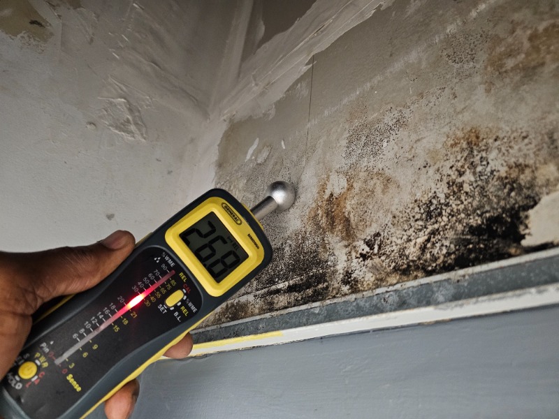 A hand holds a moisture meter reading 26.8 against a wall with visible black mold and water damage near the ceiling corner, indicating testing for further mold contamination.