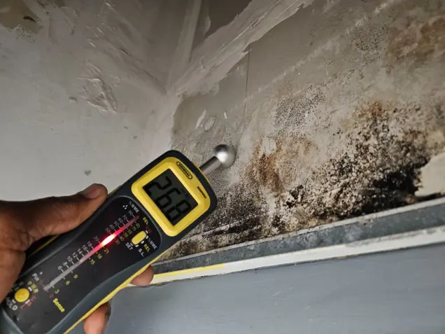 A hand holds a moisture meter reading 26.8 against a wall with visible black mold and water damage near the ceiling corner, indicating testing for further mold contamination.