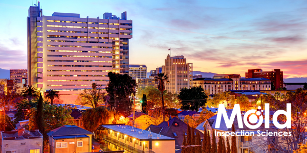 City skyline at sunset with tall buildings and palm trees, offering a serene backdrop for precision sampling. Mold Inspection Sciences is written in the lower right corner.