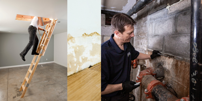 A person climbs an attic ladder in a room. The middle image shows water damage and possible mold on a wall. Another person conducts an assessment of plumbing in a basement with concrete walls, pointing at a pipe with a wrench nearby.