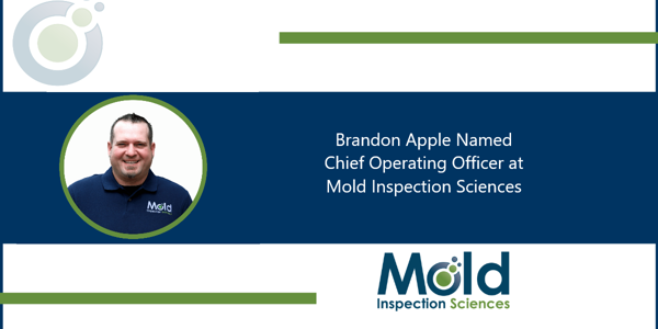 Man in a polo shirt with Mold Inspection Sciences logo. Text reads, Brandon Apple Named Chief Operating Officer at Mold Inspection Sciences, enhancing our testing and sampling processes. Logo of Mold Inspection Sciences is at the bottom right.