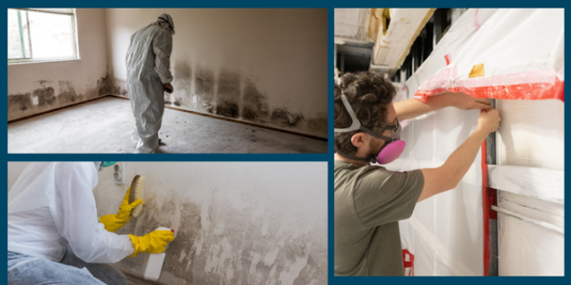Top left: Person in protective gear conducting an assessment while cleaning mold from the wall. Bottom left: Person with gloves and mask scrubbing moldy wall. Right: Person in goggles and mask sealing a section of a wall with plastic sheets post-investigation.