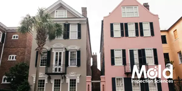 Two adjacent traditional houses with black shutters, one grey and one pink, stand side by side with a tall palm tree in front. The image features a logo for Mold Inspection Sciences in the bottom corner, highlighting the importance of thorough assessment to ensure home safety.