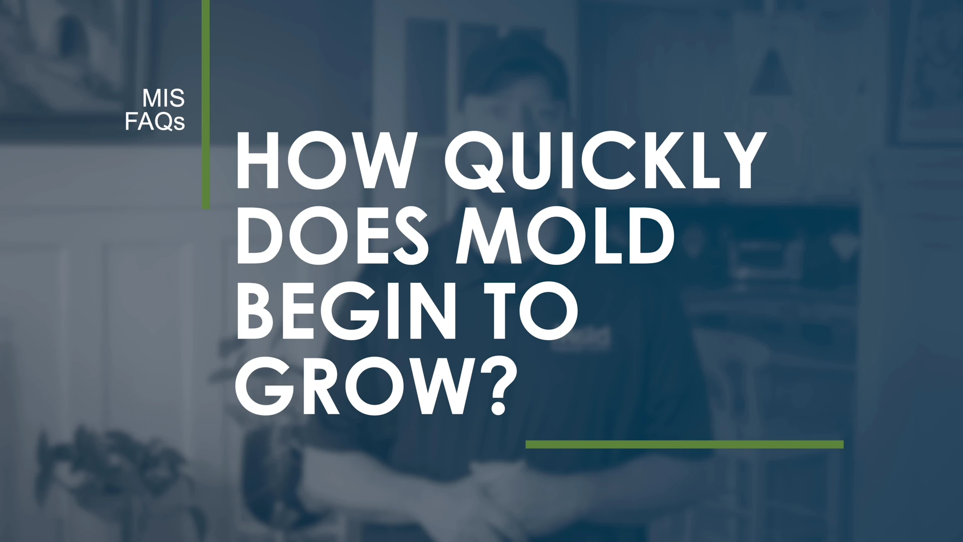 How Quickly Does Mold Begin to Grow?