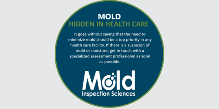 Circle with text highlights the importance of addressing mold in healthcare facilities. It emphasizes contacting a professional for testing and assessment if mold or moisture is suspected. The text is in various shades of green and blue.