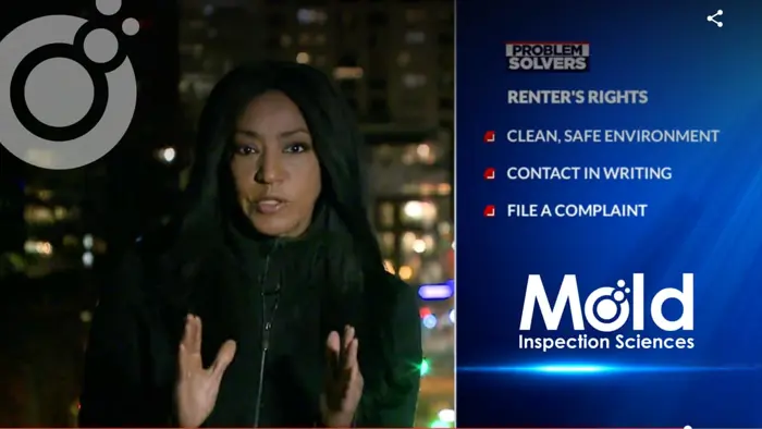 A person stands in front of a cityscape at night, discussing renters' rights while speaking to the camera. Next to them, a graphic lists key points: clean, safe environment; contact in writing; file a complaint. Mold Inspection Sciences is noted for their thorough inspections and assessments.