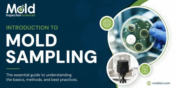 Banner for Mold Inspection Sciences titled Introduction to Mold Sampling, featuring images of a petri dish with mold samples, air sampling equipment, and the website moldsci.com—highlighting expert inspection and testing services.