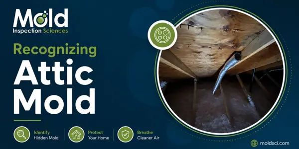 Mold Inspection Sciences graphic on recognizing attic mold, showing a photo of mold growth on wood in an attic, with icons for mold investigation, assessment of hidden mold, protecting your home, and breathing cleaner air.