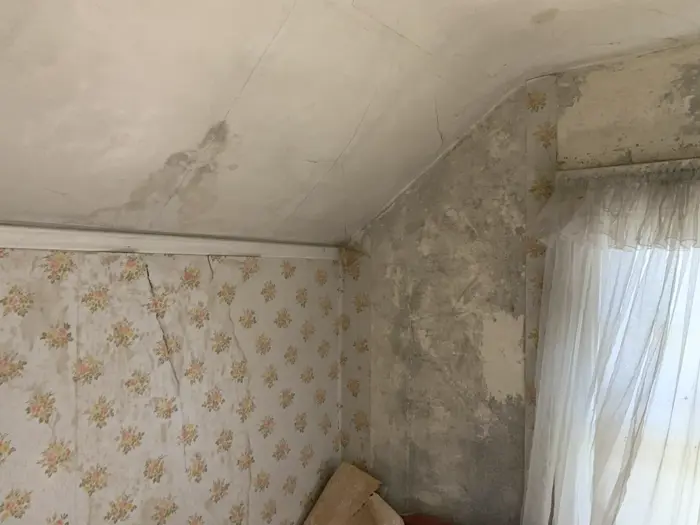 A room with peeling floral wallpaper and severe wall damage suggests prior issues. The walls show stains, exposed plaster, and possible mold growth. A sheer curtain hangs over a window, while wooden boards lean against the wall—awaiting further inspection for comprehensive repair planning.