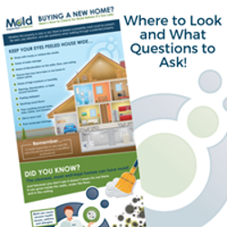 Infographic titled Buying a New Home? with tips on mold inspection. Features a house diagram, checklist, and cleaning advice. Background has decorative swirl and text: Where to Look and What Questions to Ask! Ensure thorough inspection before purchasing your dream home.