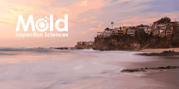 Mold Inspection Sciences Orange County