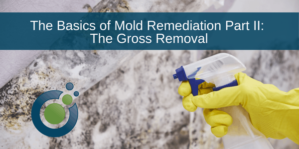 A person wearing yellow gloves sprays a cleaning solution on a mold-covered surface during the inspection process. The text reads, "The Basics of Mold Remediation Part II: The Gross Removal." A logo featuring overlapping circles is at the bottom left.