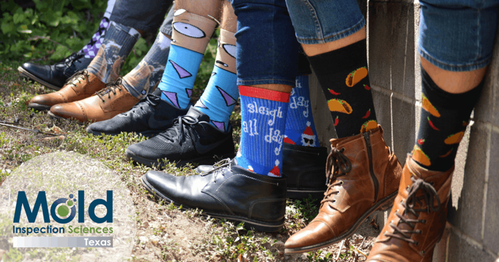A row of people showcasing quirky socks with designs like tacos and colorful patterns, paired with diverse shoes. Amidst this fun scene, the Mold Inspection Sciences Texas logo sits in the corner, adding a touch of professional investigation flair to the playful display.