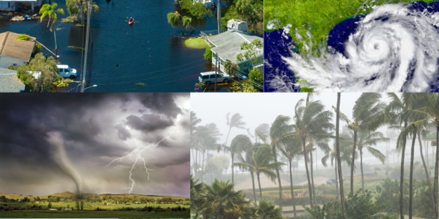 Collage of natural disasters: Top left shows a flooded neighborhood ripe for mold investigation, top right displays a satellite view of a hurricane, bottom left features a tornado with lightning, and bottom right portrays strong winds bending palm trees, necessitating thorough assessment.