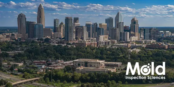 Aerial view of a city skyline with modern high-rise buildings surrounded by greenery under a cloudy blue sky. The foreground shows highways and trees, with the text "Mold Inspection Sciences" indicating an expert assessment of urban environmental health.