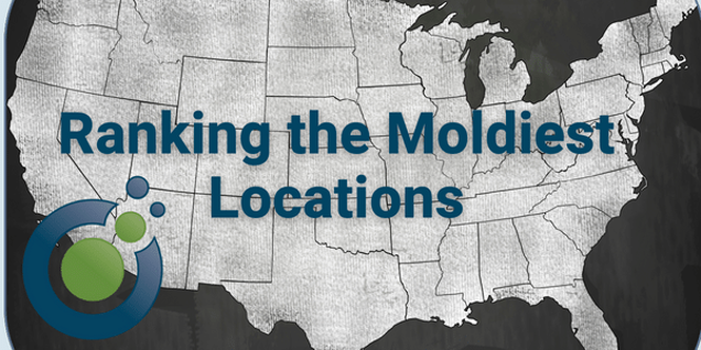 Map of the United States with the text Ranking the Moldiest Locations over it. An investigation graphic featuring overlapping circles is in the lower left corner, highlighting areas with significant mold presence.