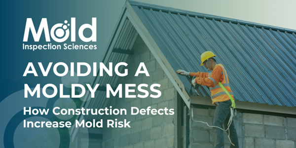 Avoiding a Moldy Mess: How Construction Defects Increase Mold Risk