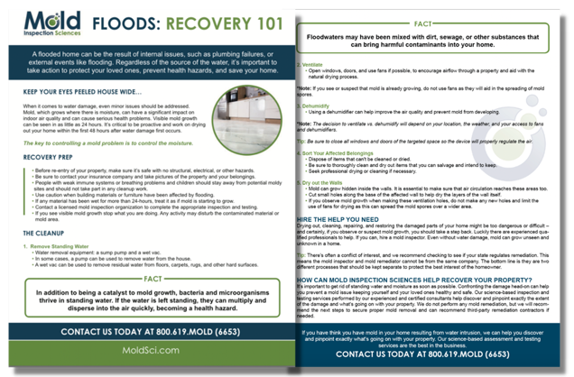 An informational flyer titled Floods: Recovery 101 by Mold Inspection Sciences includes details on recovery preparation, cleanup tips, and mold assessment after flooding. Learn how mold can affect your home post-flood. Contact information and website are provided at the bottom.