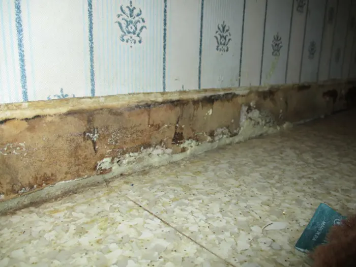 Close-up of a wall with mold growth along the base, observed during an inspection, on a patterned wallpaper with blue vertical stripes and floral designs. The floor features speckled white and beige tiles. A small portion of a brown towel is visible in the bottom right corner.