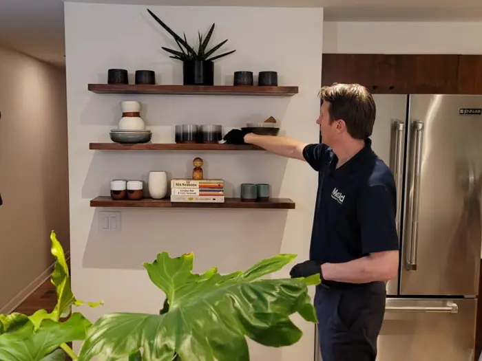 A person wearing a navy shirt and gloves carefully arranges items on wooden wall shelves. The shelves display plants, books, and various containers, while a large green plant stands in the foreground. In the background, a stainless steel refrigerator awaits an upcoming assessment.