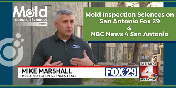 A man in a Mold Inspection Sciences Texas shirt speaks in front of a building on a Mold Inspection Sciences promotional image, emphasizing their expertise in mold inspection and assessment. Logos for Fox 29, NBC News 4 San Antonio, and Mold Inspection Sciences Texas highlight media appearances.