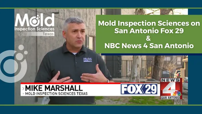 A man in a Mold Inspection Sciences Texas shirt speaks in front of a building on a Mold Inspection Sciences promotional image, emphasizing their expertise in mold inspection and assessment. Logos for Fox 29, NBC News 4 San Antonio, and Mold Inspection Sciences Texas highlight media appearances.