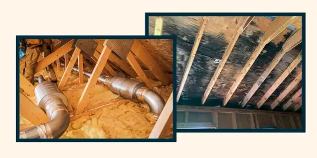 Two images side by side: The left shows attic ductwork surrounded by insulation, while the right highlights attic rafters with dark mold or water damage—ideal for inspection and investigation of potential issues.