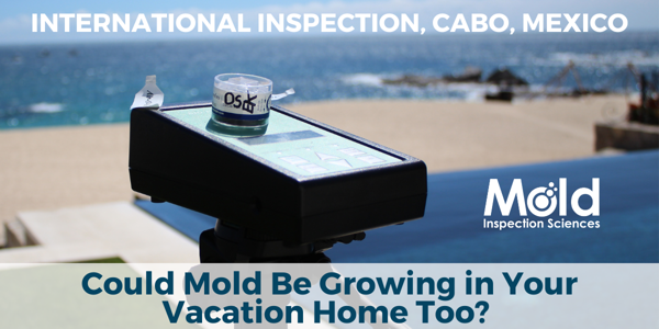 A device for mold assessment is placed outdoors with a beach and ocean in the background. The text reads, International Inspection, Cabo, Mexico - Could Mold Be Growing in Your Vacation Home Too?