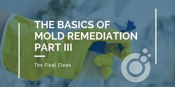 A person wearing yellow gloves is holding a spray bottle for a final inspection. Text reads The Basics of Mold Remediation Part III: The Final Clean alongside a circular logo design.
